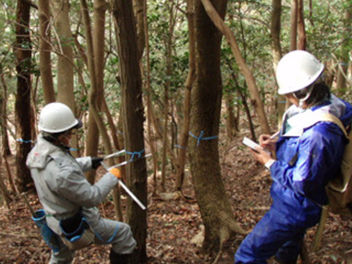 補償コンサルタント