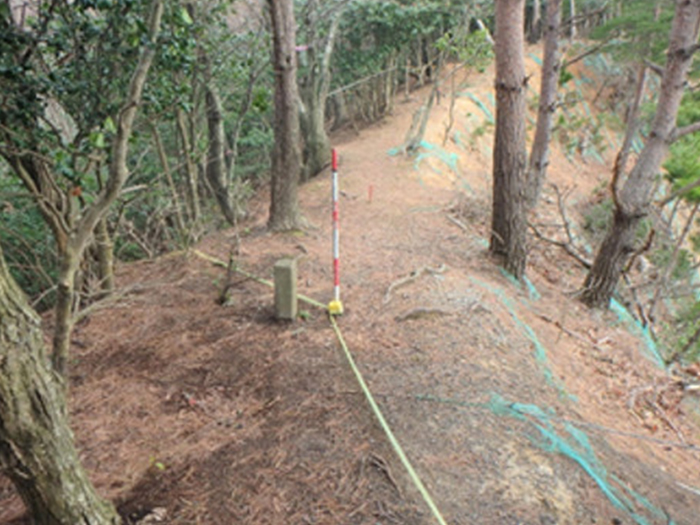 補償コンサルタント